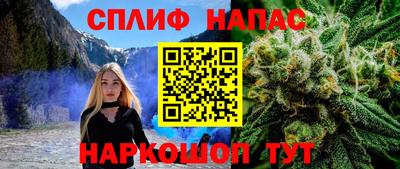 Альфа ПВП Гатчина
