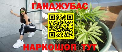 Альфа ПВП Гатчина