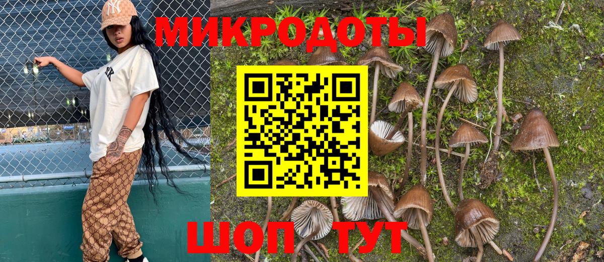 Галлюциногенные грибы GOLDEN TEACHER  Вход с VPN  Галлюциногенные грибы Magic Shrooms  Мариинск 